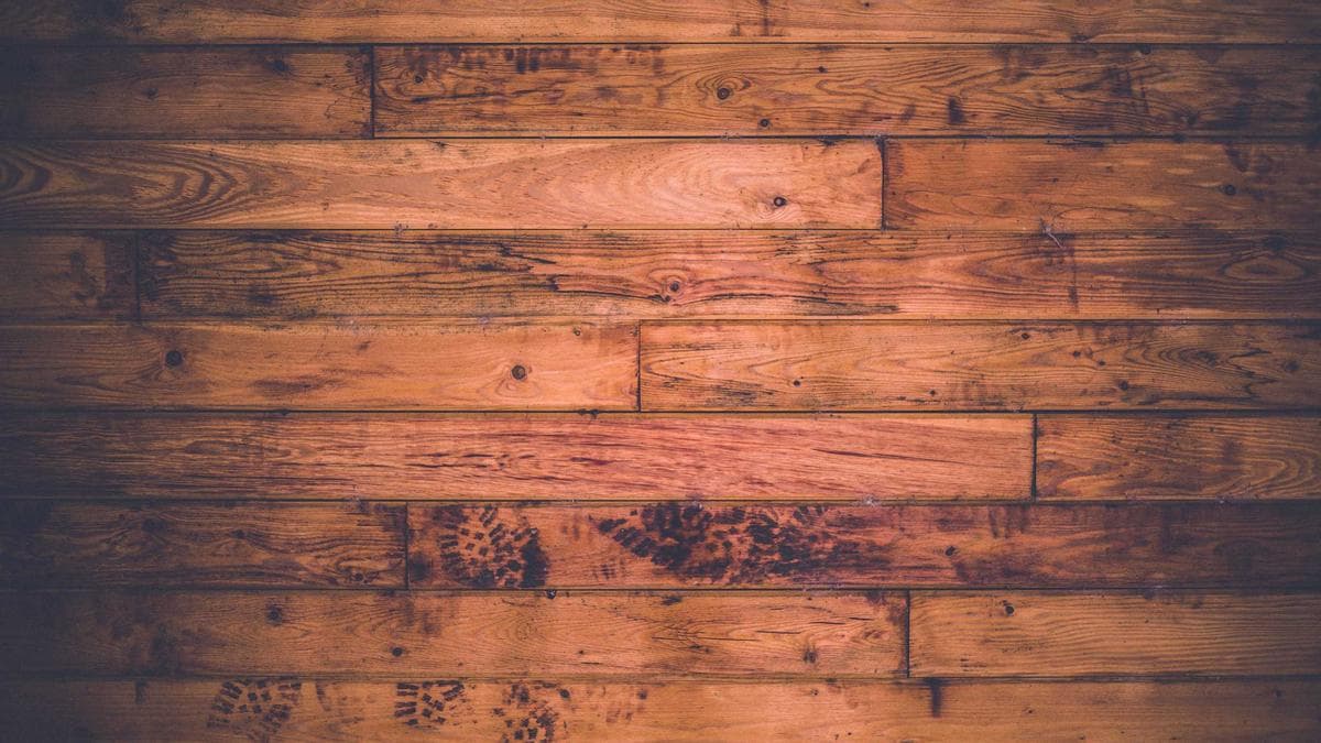 Open-source LLM surpasses proprietary models on coding benchmarks